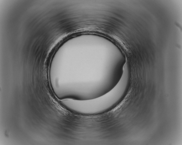 X0000097981118200804141111