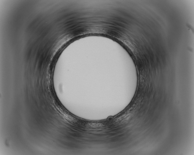 X0000097981119200804141111