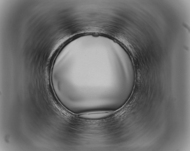 X0000097981120200804141111