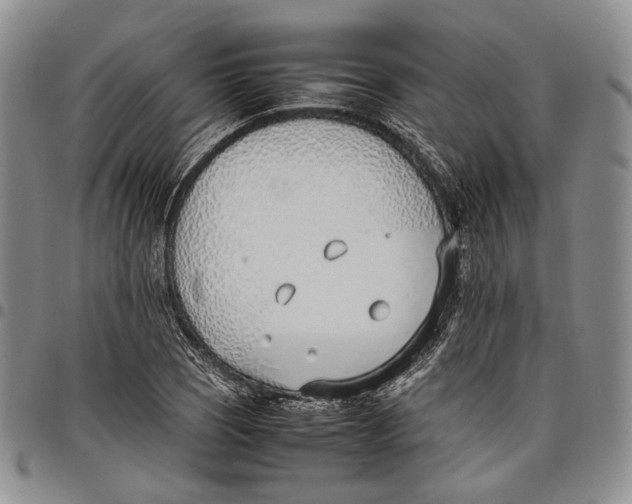 X0000097981121200804141111