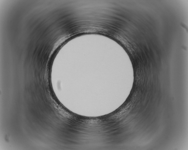 X0000097981122200804141111