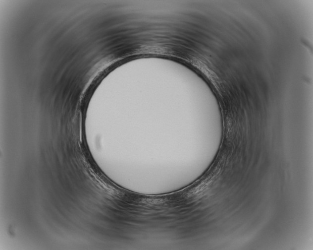 X0000097981123200804141111