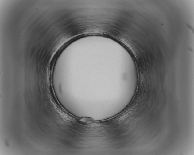 X0000097981124200804141111