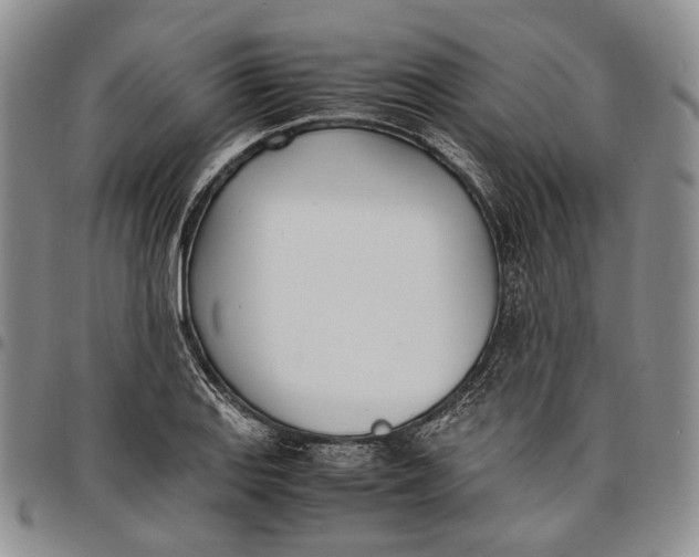 X0000097981127200804141111