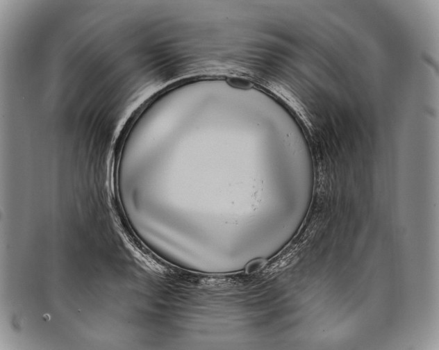 X0000097981128200804141111