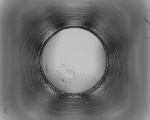 X0000097981129200804141111