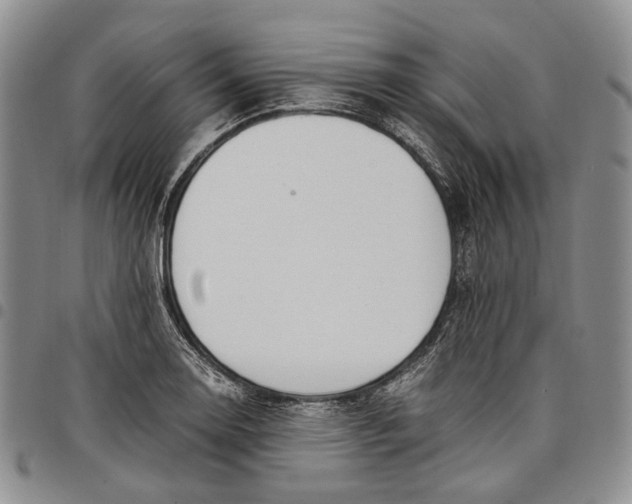 X0000097981130200804141111