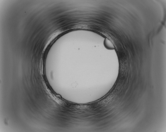 X0000097981131200804141111