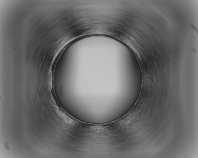 X0000097981132200804141111