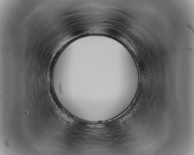 X0000097981133200804141111