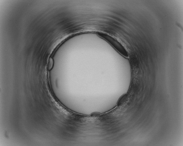 X0000097981134200804141111