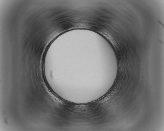 X0000097981135200804141111