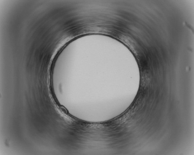 X0000097981136200804141111