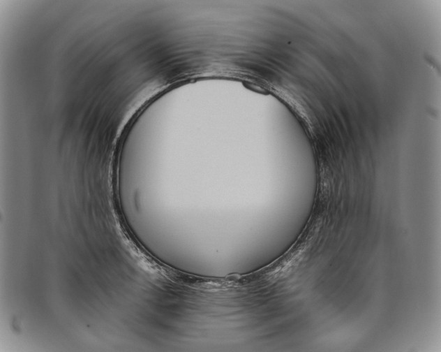 X0000097981138200804141111