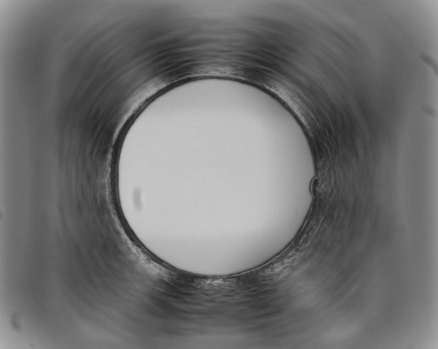 X0000097981139200804141111