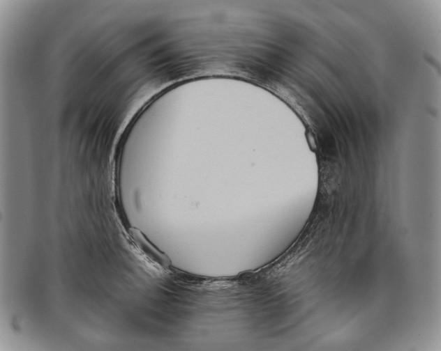 X0000097981140200804141111