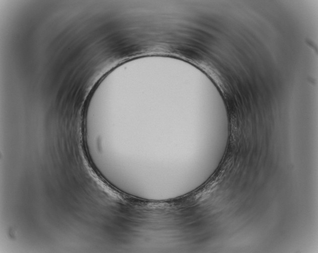 X0000097981142200804141111