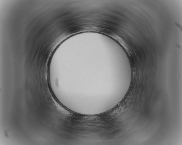 X0000097981143200804141111