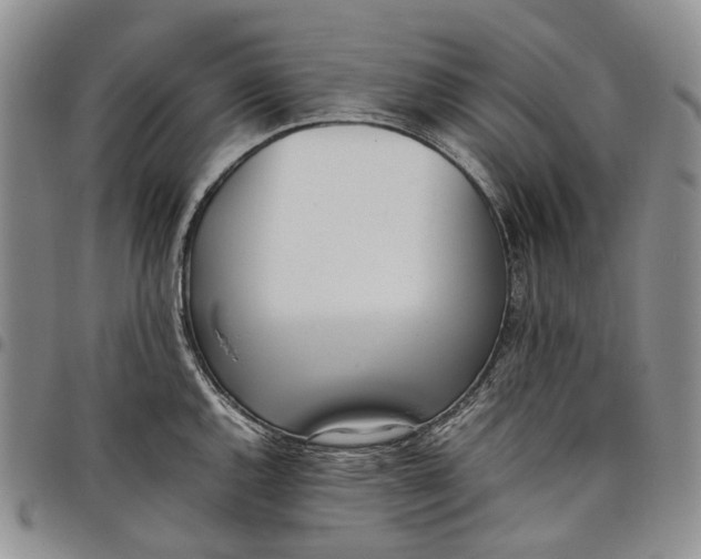 X0000097981144200804141111