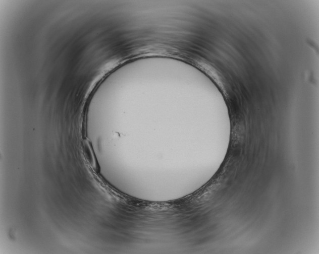 X0000097981146200804141111