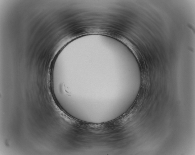 X0000097981147200804141111