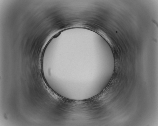 X0000097981148200804141111