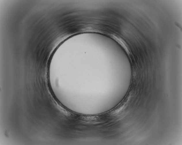 X0000097981149200804141111