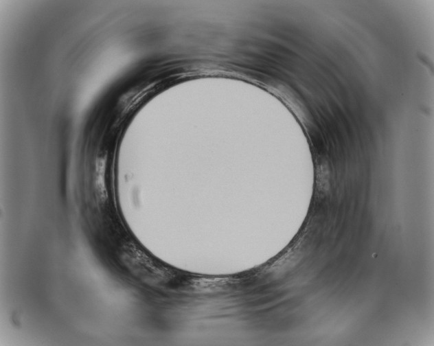 X0000097981150200804141111