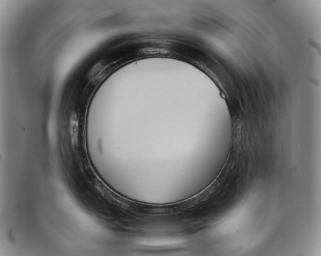 X0000097981151200804141111