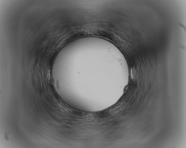 X0000097981155200804141111