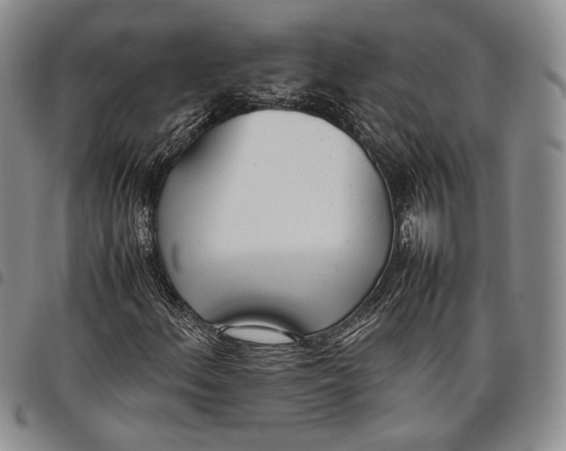 X0000097981156200804141111