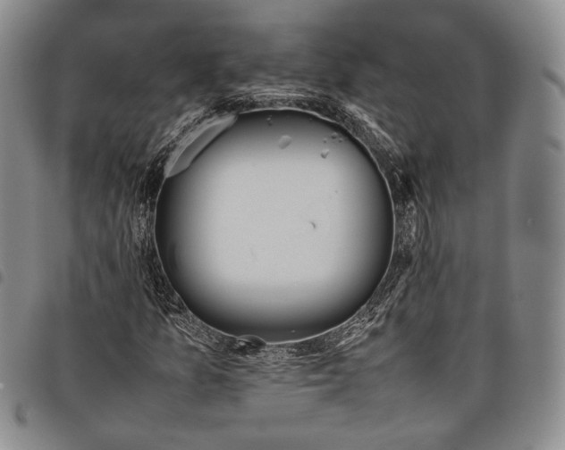 X0000097981157200804141111