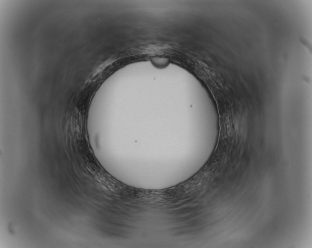 X0000097981158200804141111