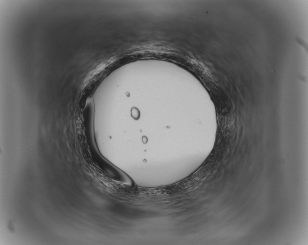 X0000097981159200804141111