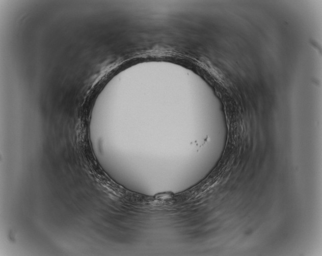 X0000097981160200804141111