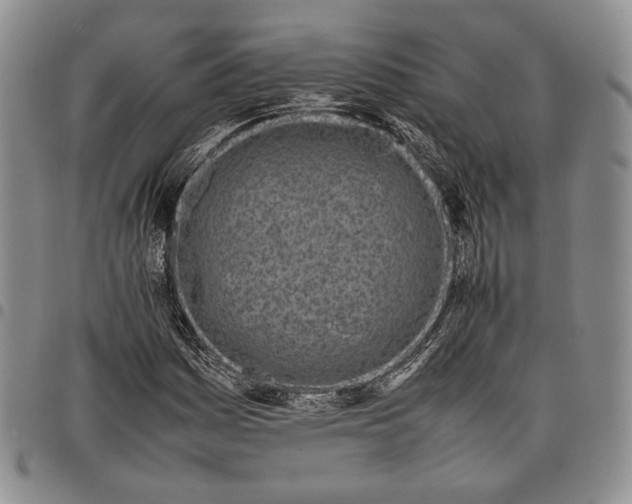 X0000097981161200804141110