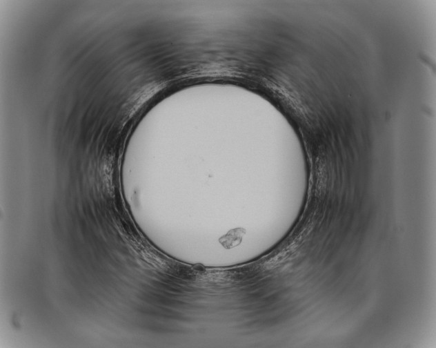 X0000097981162200804141110