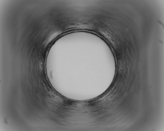 X0000097981163200804141110