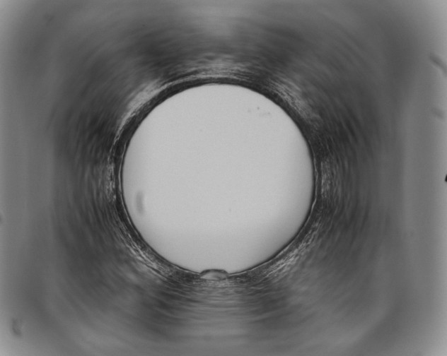 X0000097981164200804141110