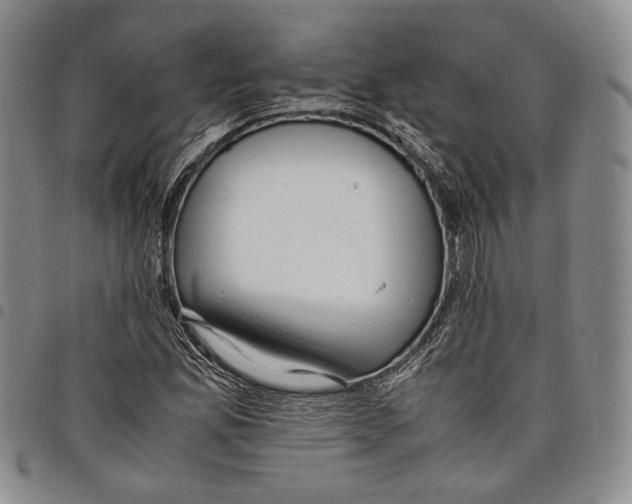 X0000097981165200804141110