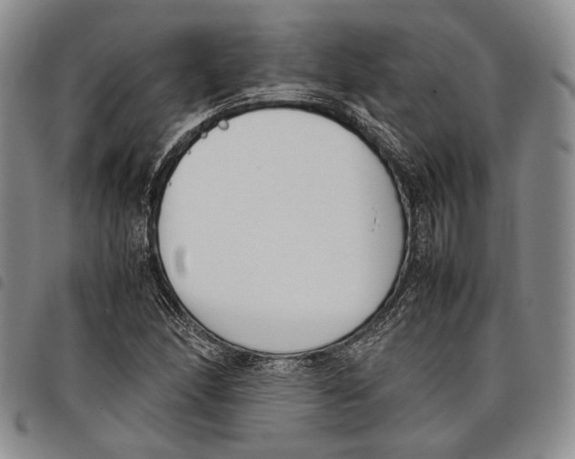 X0000097981166200804141110