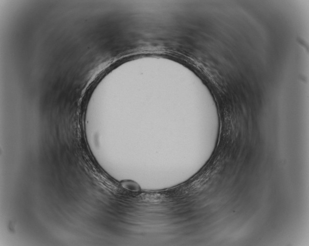 X0000097981168200804141110