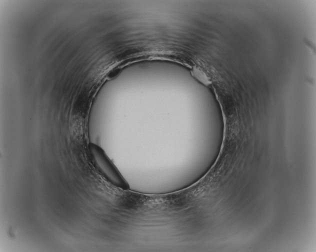 X0000097981169200804141110