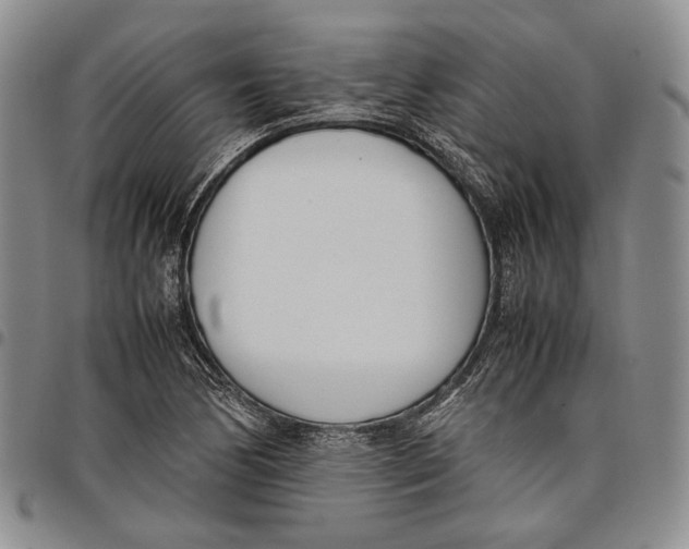 X0000097981170200804141110