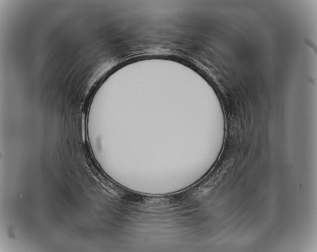 X0000097981171200804141110