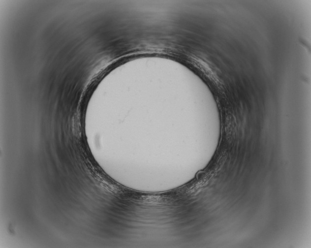 X0000097981172200804141110