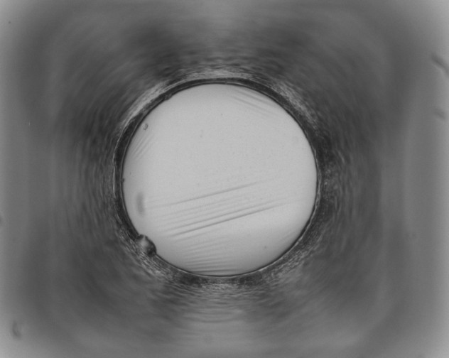 X0000097981173200804141110