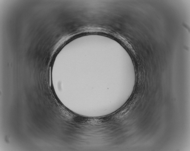 X0000097981175200804141110