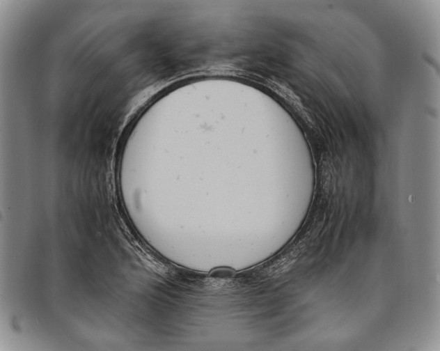 X0000097981176200804141110