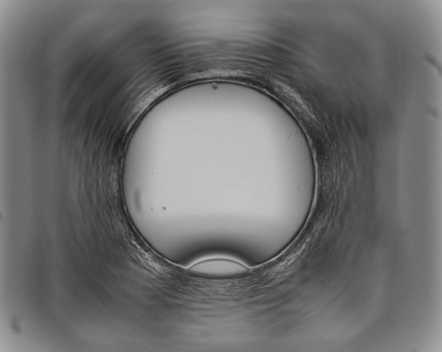 X0000097981177200804141110